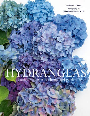 Hydrangeas: Beautiful Varieties for Home & Garden